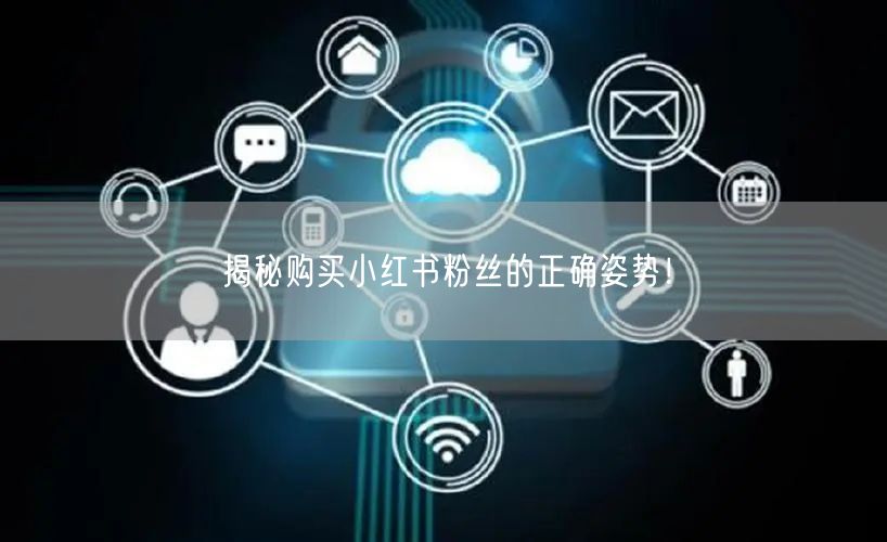 揭秘购买小红书粉丝的正确姿势！