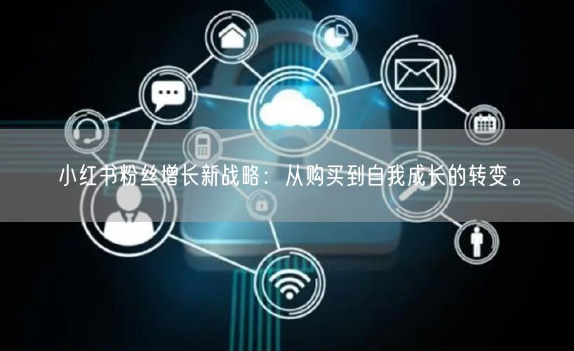 小红书粉丝增长新战略：从购买到自我成长的转变。
