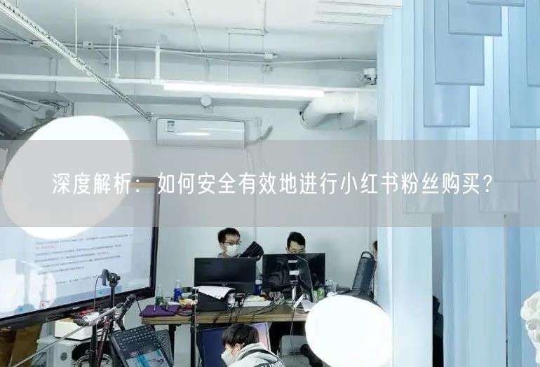 深度解析：如何安全有效地进行小红书粉丝购买？