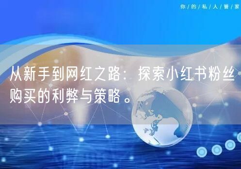 从新手到网红之路：探索小红书粉丝购买的利弊与策略。