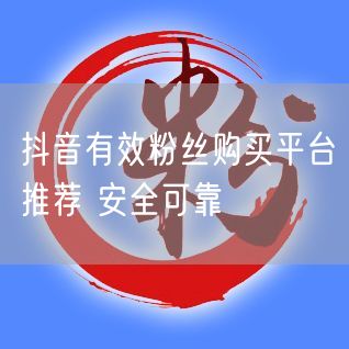 抖音有效粉丝购买平台推荐 安全可靠