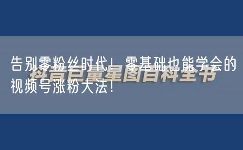 告别零粉丝时代！零基础也能学会的视频号涨粉大法！