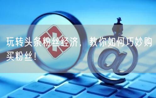 玩转头条粉丝经济，教你如何巧妙购买粉丝！