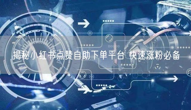 揭秘小红书点赞自助下单平台 快速涨粉必备