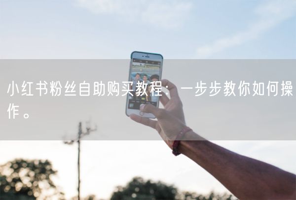 小红书粉丝自助购买教程：一步步教你如何操作。