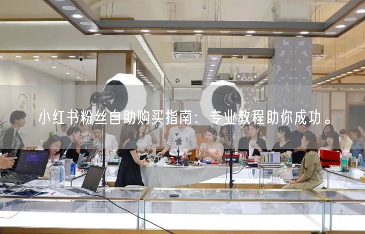 小红书粉丝自助购买指南：专业教程助你成功。