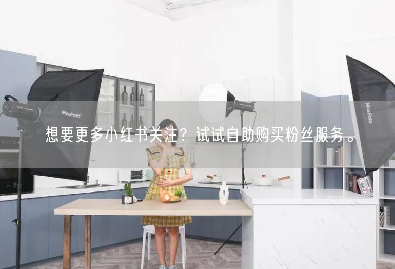 想要更多小红书关注？试试自助购买粉丝服务。