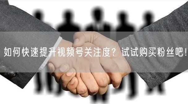 如何快速提升视频号关注度？试试购买粉丝吧！