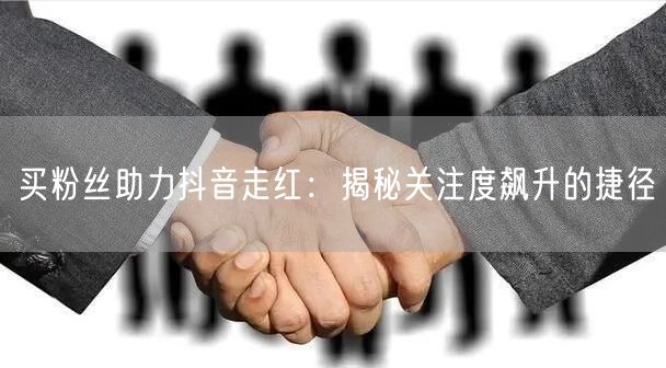 买粉丝助力抖音走红：揭秘关注度飙升的捷径